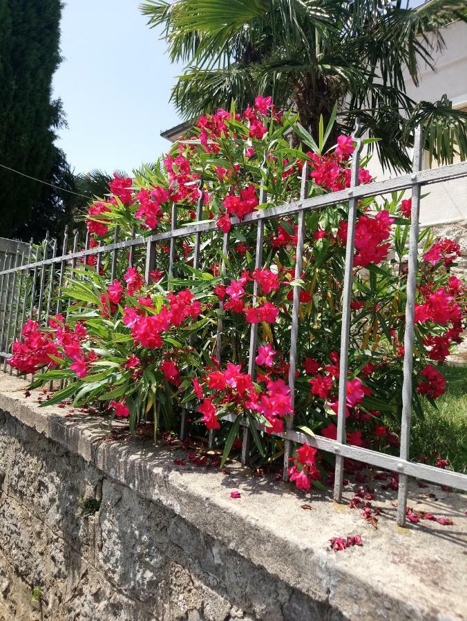 Charming Hill Apartment Abbazia Esterno foto